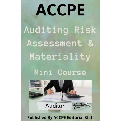 Auditing Risk Assessment and Materiality 2023 Mini Course